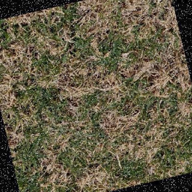 Annotated Image