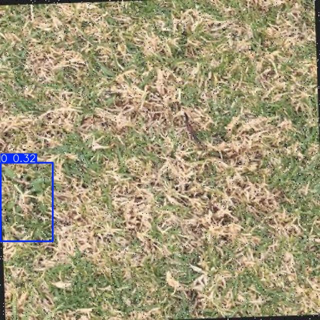 Annotated Image