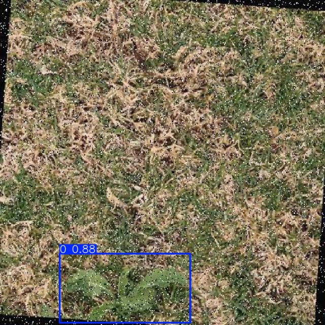 Annotated Image
