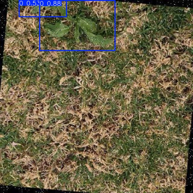 Annotated Image