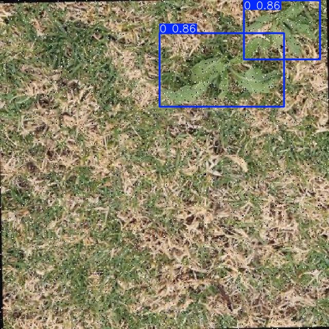 Annotated Image