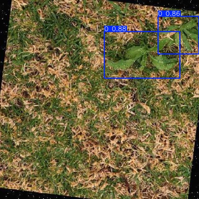 Annotated Image