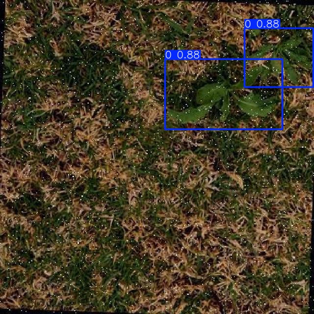 Annotated Image