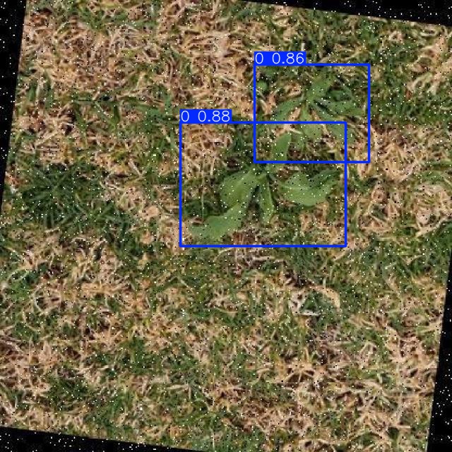 Annotated Image