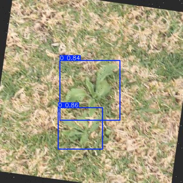 Annotated Image