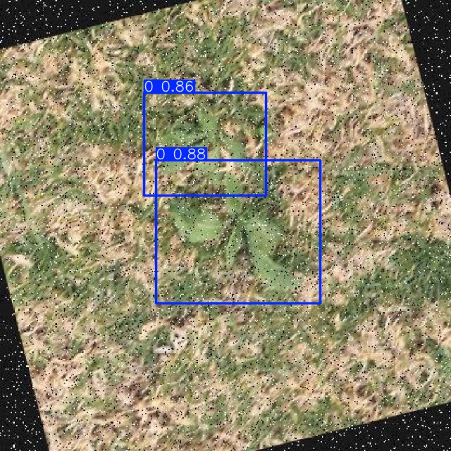 Annotated Image