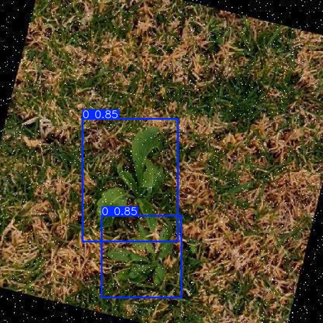 Annotated Image
