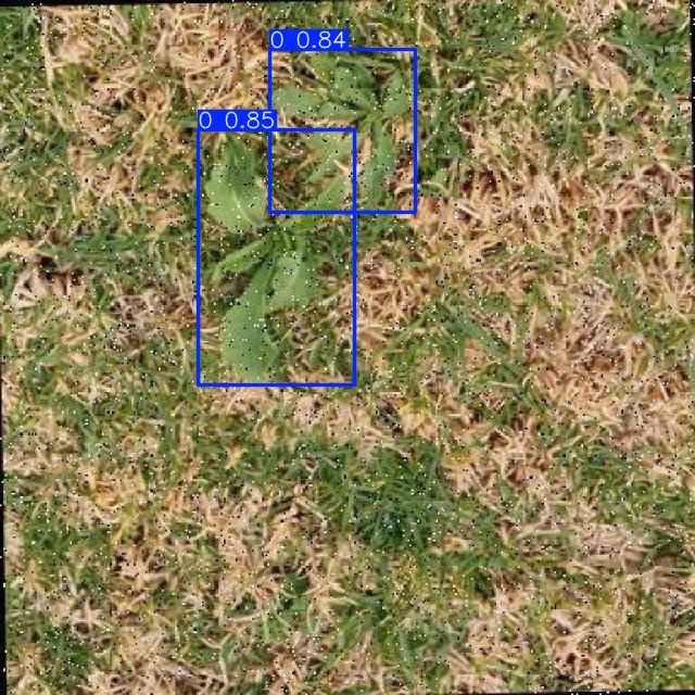 Annotated Image