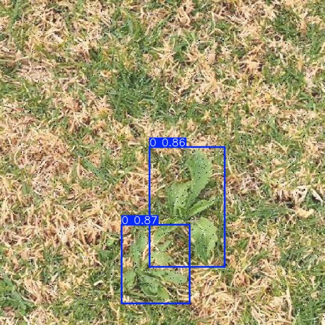 Annotated Image