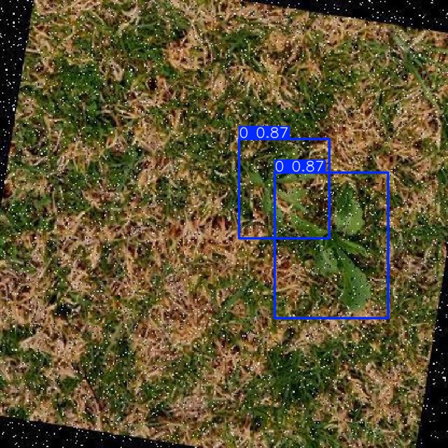 Annotated Image