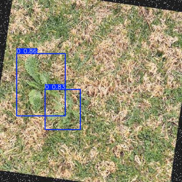 Annotated Image