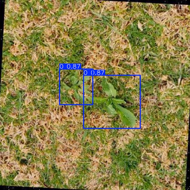 Annotated Image