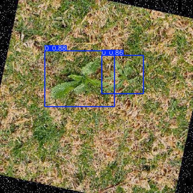 Annotated Image