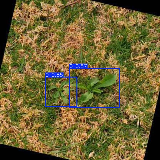 Annotated Image