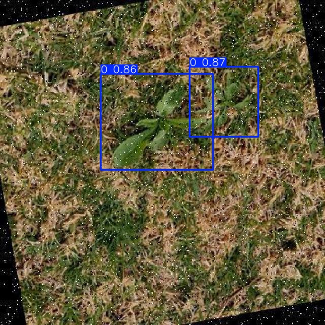 Annotated Image