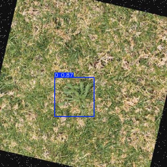 Annotated Image