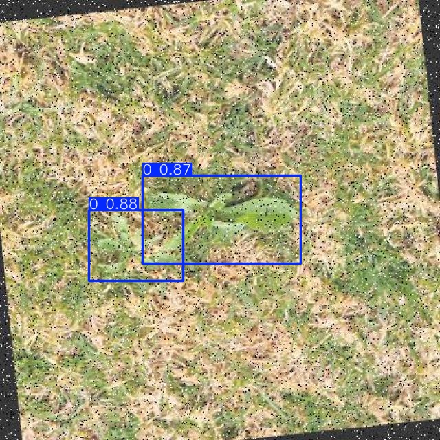 Annotated Image