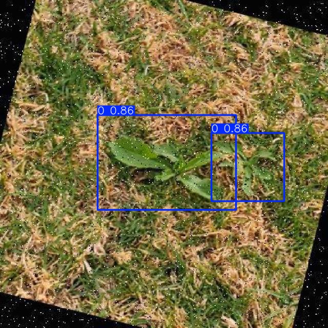 Annotated Image