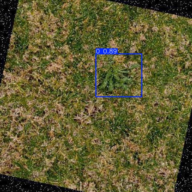 Annotated Image