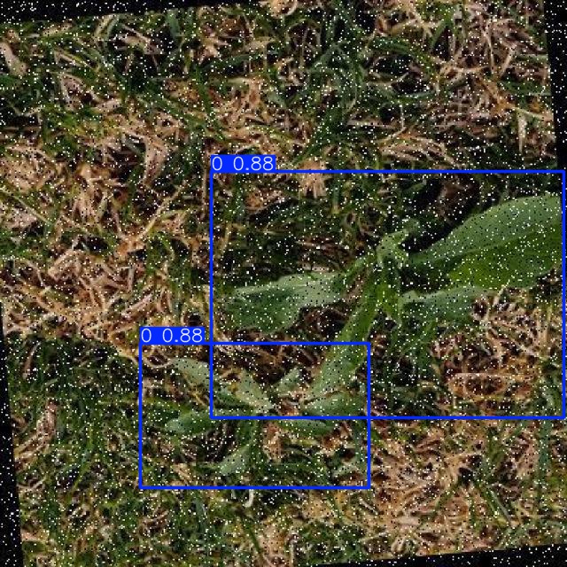 Annotated Image