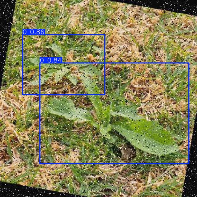 Annotated Image