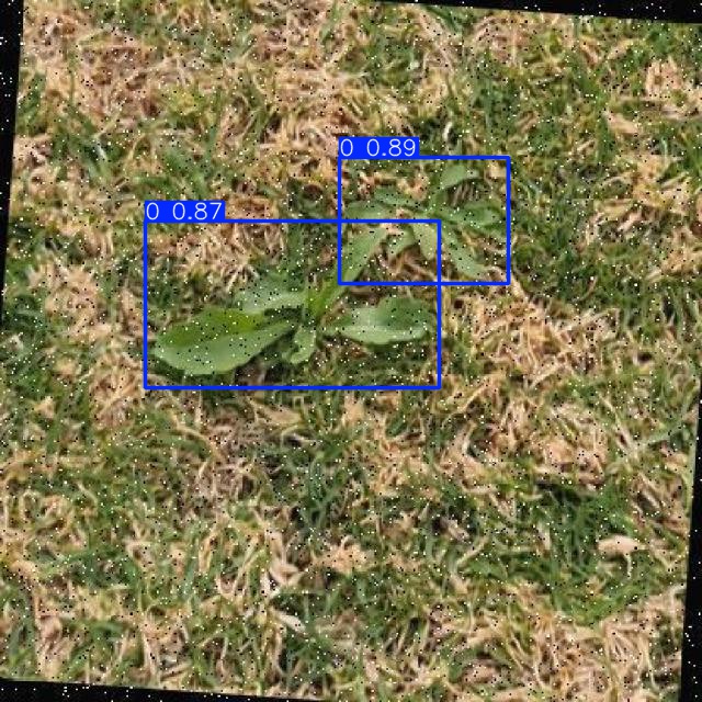 Annotated Image