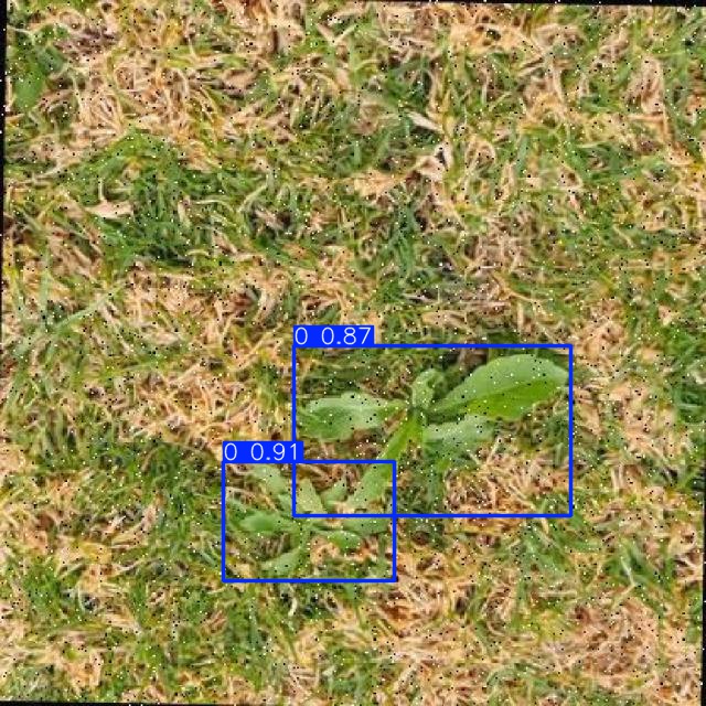 Annotated Image