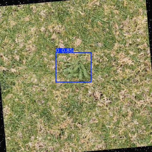 Annotated Image