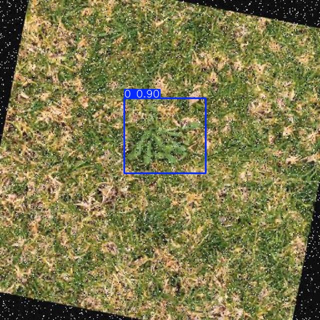 Annotated Image