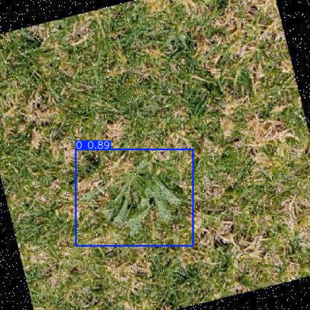 Annotated Image