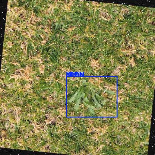 Annotated Image