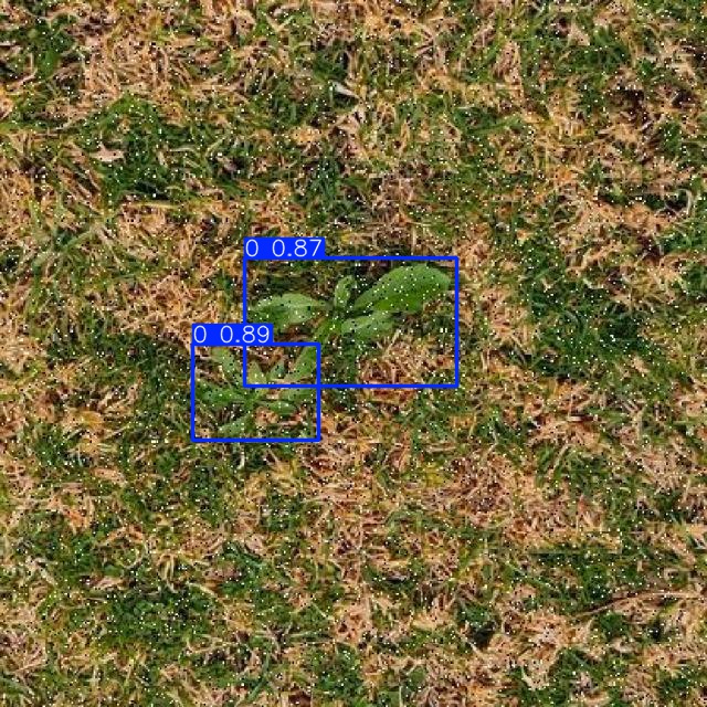 Annotated Image