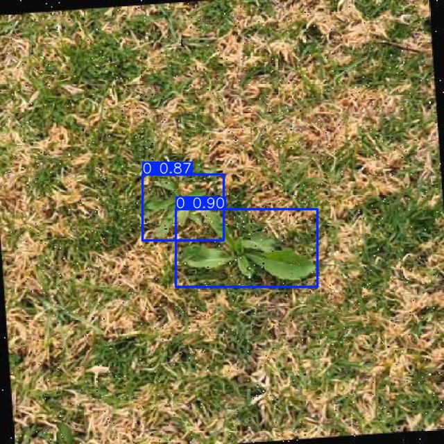 Annotated Image