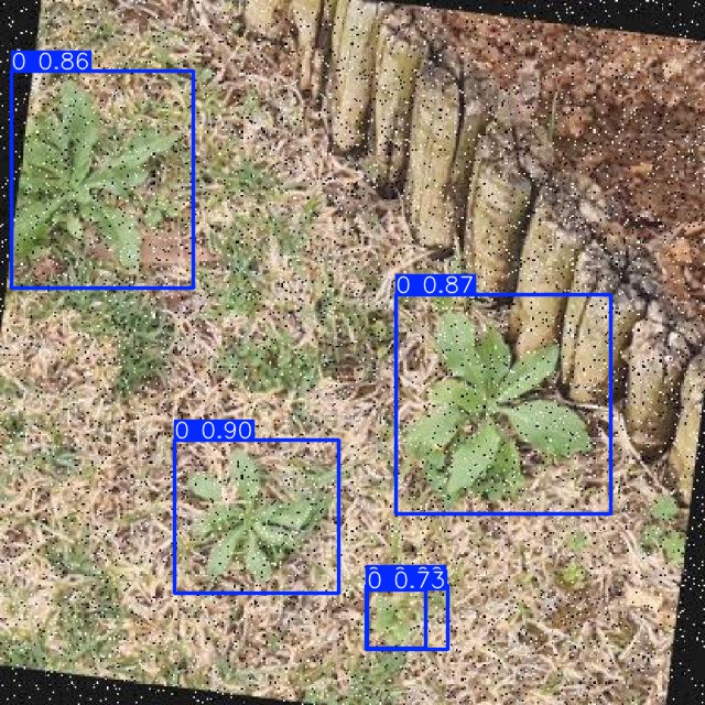 Annotated Image