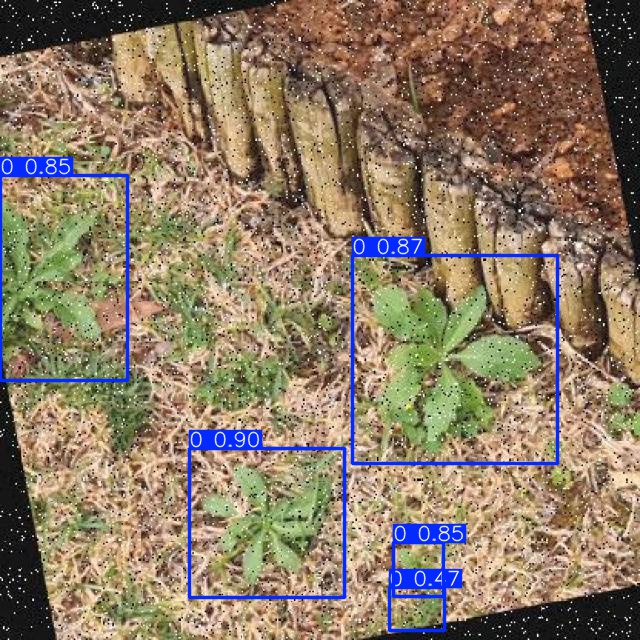 Annotated Image