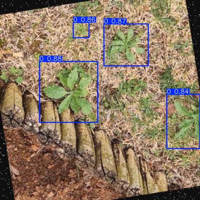 Annotated Image