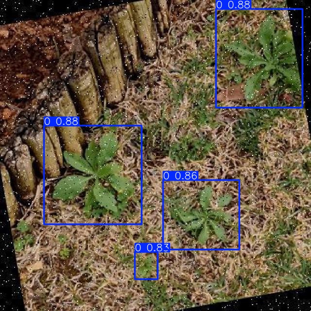 Annotated Image