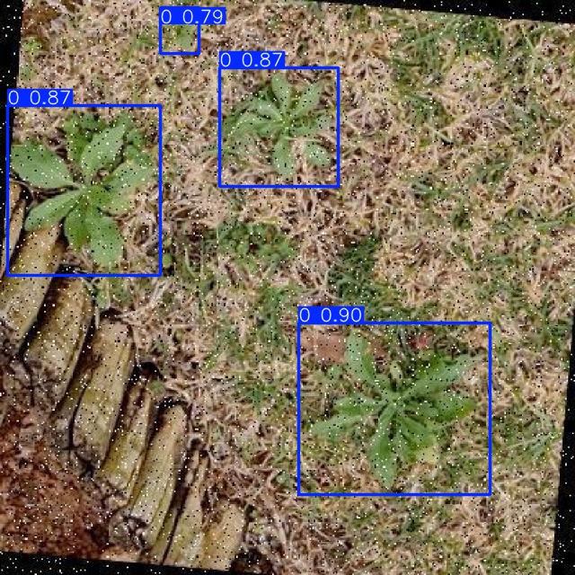 Annotated Image