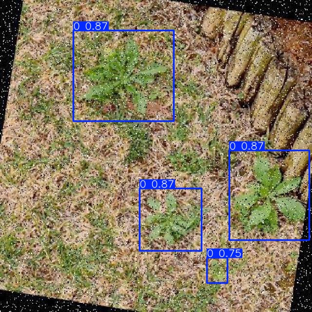 Annotated Image