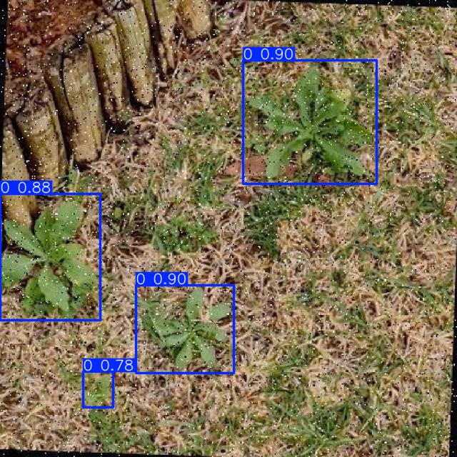 Annotated Image