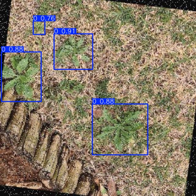 Annotated Image