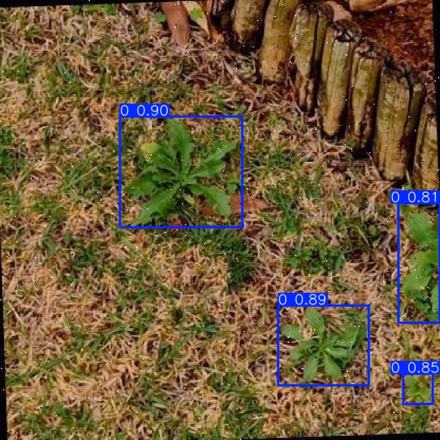 Annotated Image