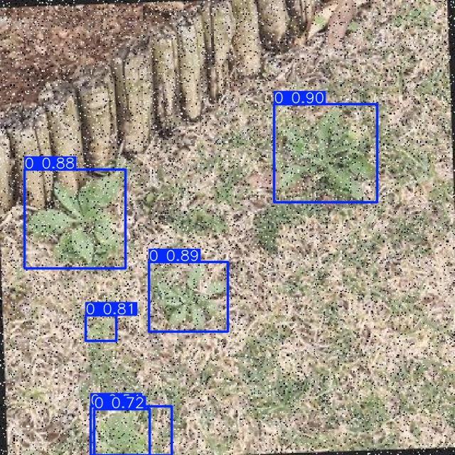 Annotated Image