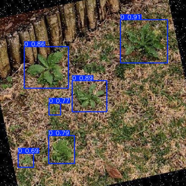 Annotated Image