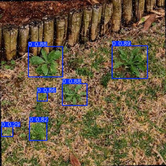 Annotated Image