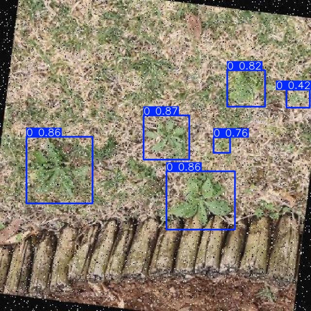 Annotated Image