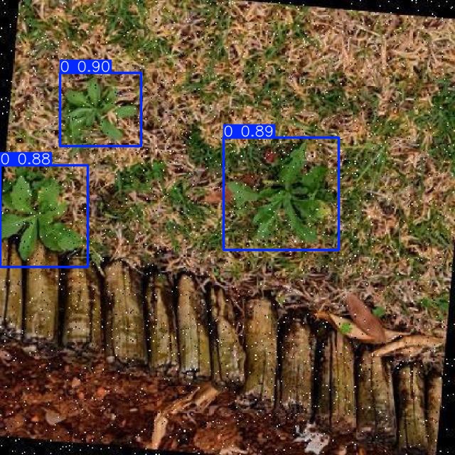 Annotated Image