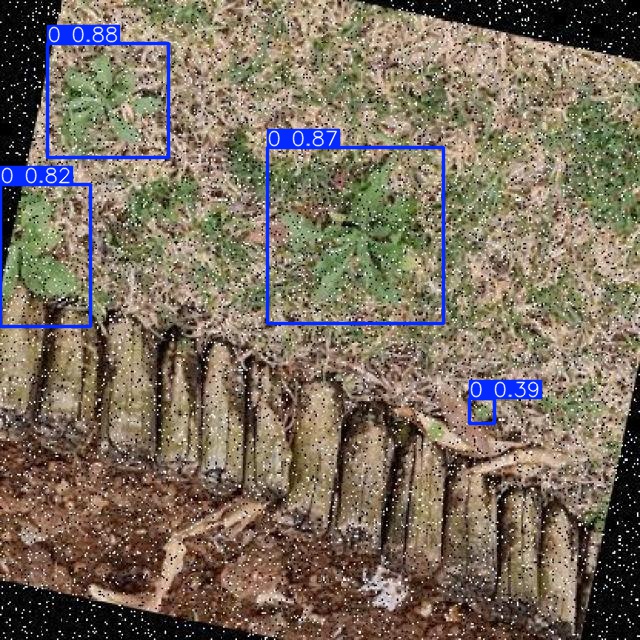 Annotated Image
