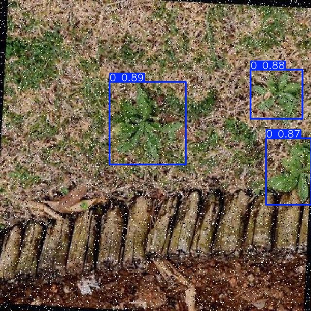 Annotated Image