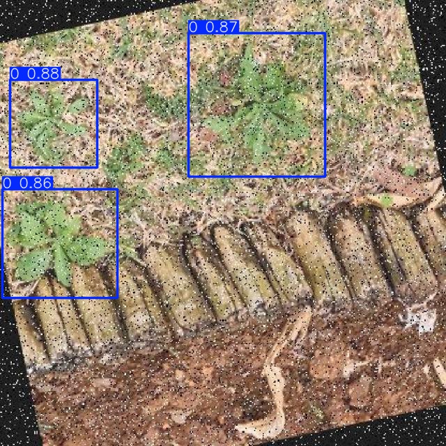 Annotated Image